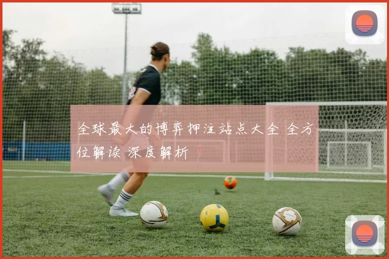 全球最大的博弈押注站点大全 全方位解读 深度解析