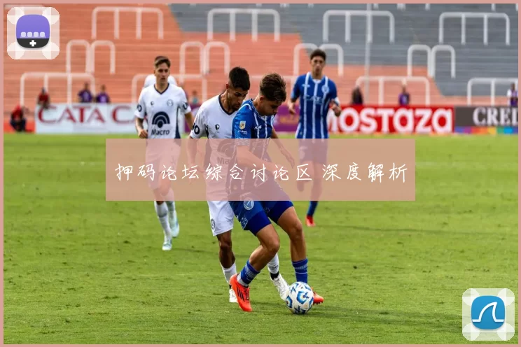 押码论坛综合讨论区 深度解析