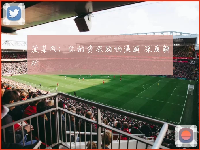 菠菜网：你的资深购物渠道 深度解析
