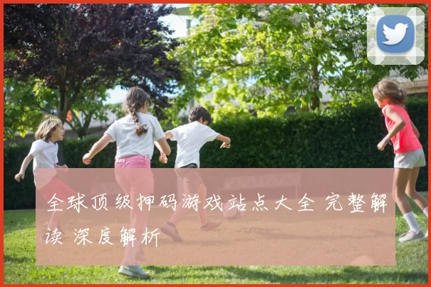 全球顶级押码游戏站点大全 完整解读 深度解析