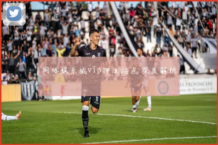 网络娱乐城vip押注站点 深度解析