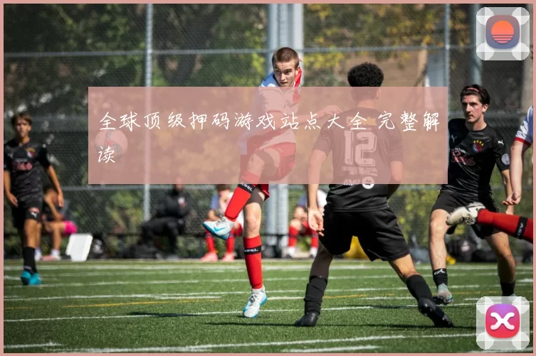 全球顶级押码游戏站点大全 完整解读