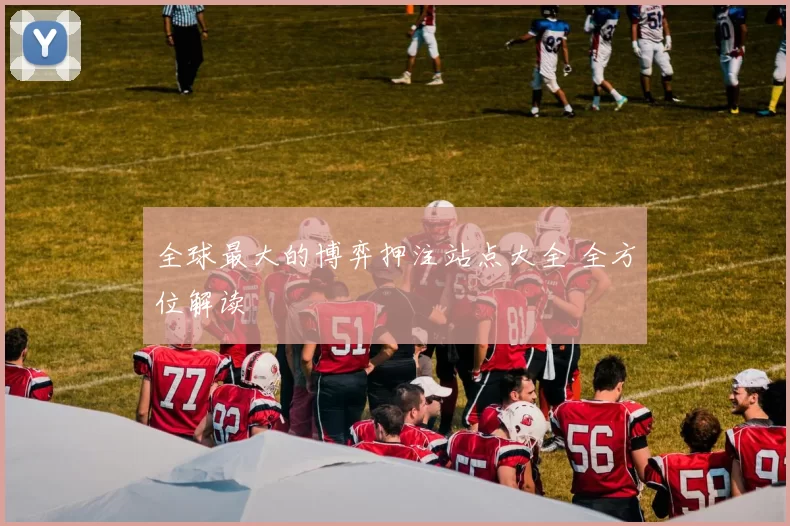 全球最大的博弈押注站点大全 全方位解读