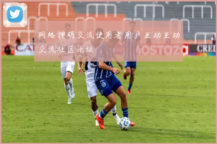 网络押码交流使用者用户互动互动交流社区论坛