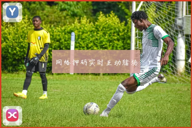 网络押码实时互动赌场