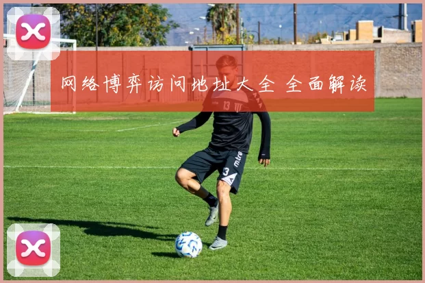 网络博弈访问地址大全 全面解读