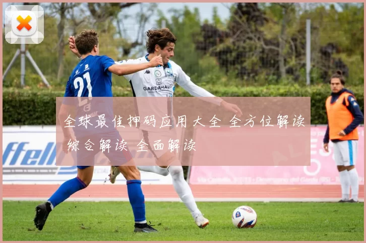 全球最佳押码应用大全 全方位解读 综合解读 全面解读