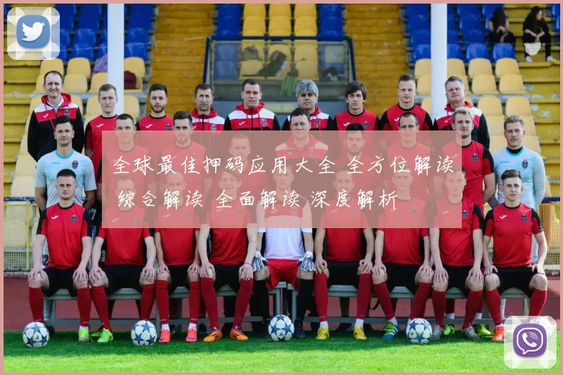 全球最佳押码应用大全 全方位解读 综合解读 全面解读 深度解析