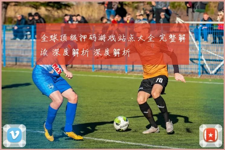全球顶级押码游戏站点大全 完整解读 深度解析 深度解析