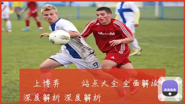 線上博弈娛樂站点大全 全面解读 深度解析 深度解析