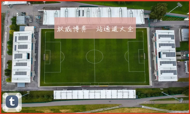 权威博弈網站通道大全