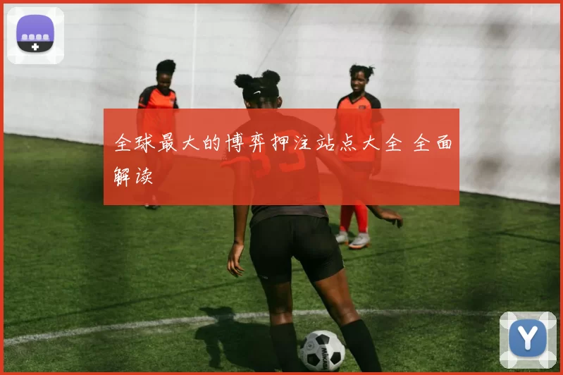 全球最大的博弈押注站点大全 全面解读