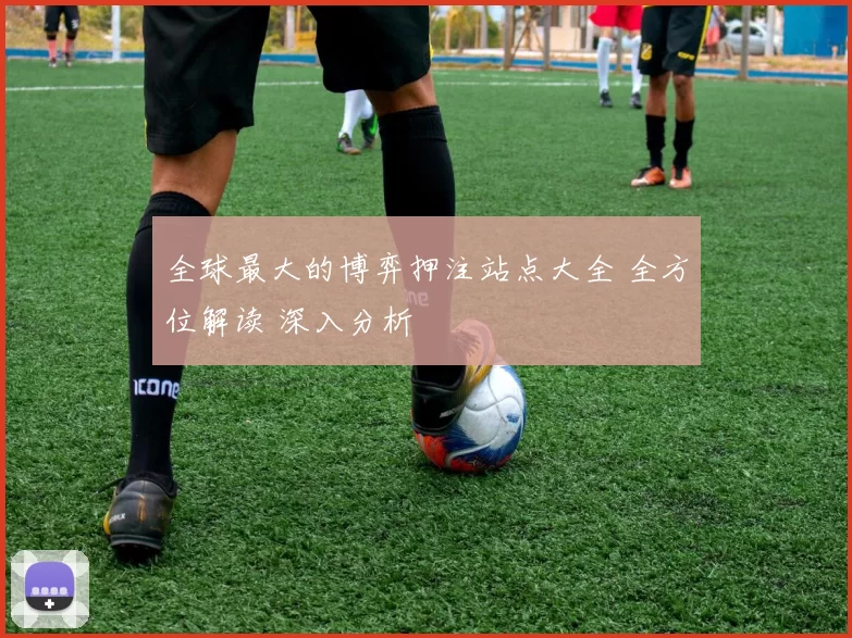 全球最大的博弈押注站点大全 全方位解读 深入分析