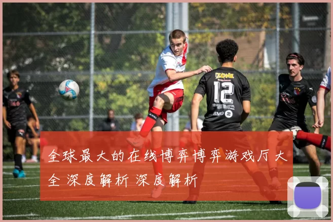 全球最大的在线博弈博弈游戏厅大全 深度解析 深度解析