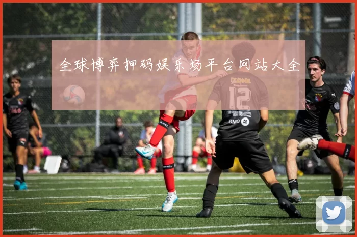 全球博弈押码娱乐场平台网站大全