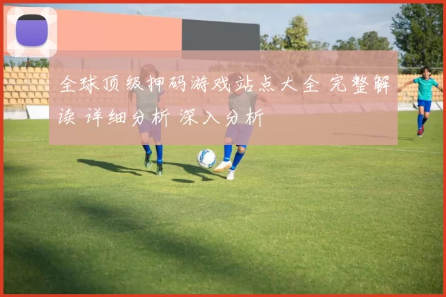 全球顶级押码游戏站点大全 完整解读 详细分析 深入分析
